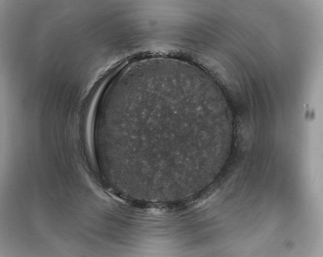 X0000091210496200708091350