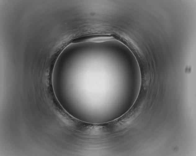 X0000091210497200708091350