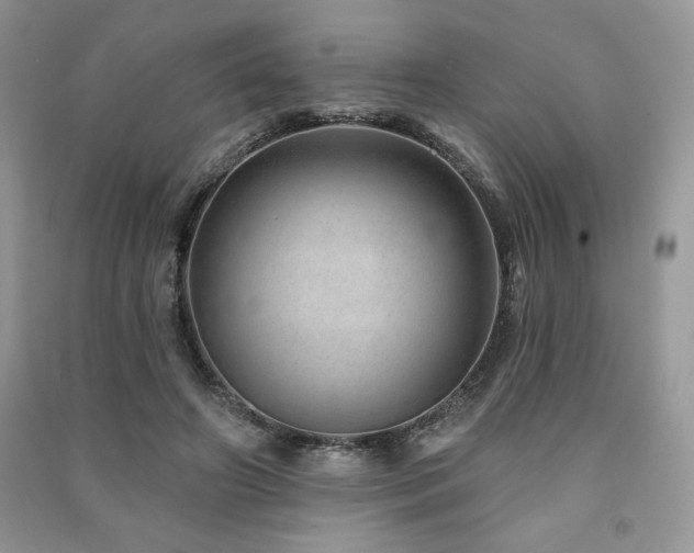 X0000091210498200708091350