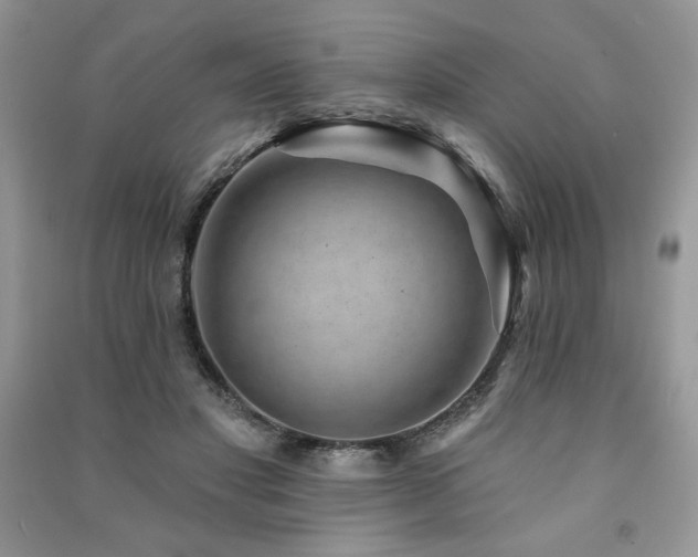 X0000091210501200708091350