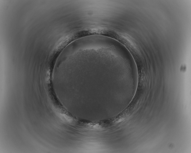 X0000091210502200708091350