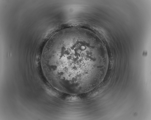 X0000091210503200708091350