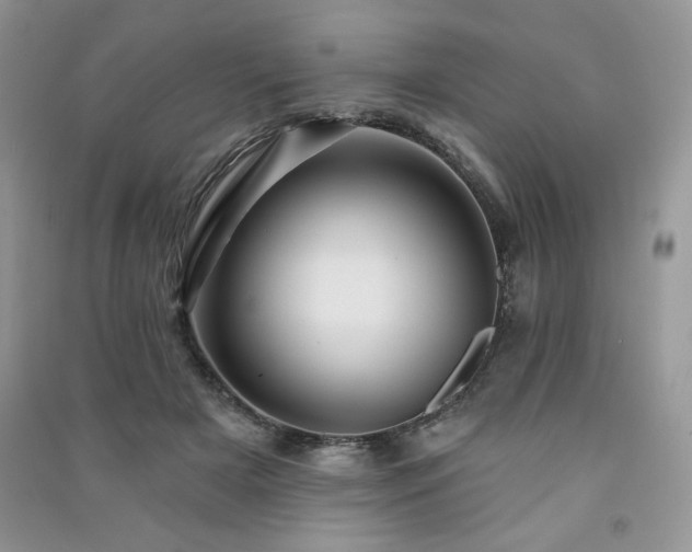 X0000091210505200708091350