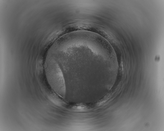 X0000091210506200708091350