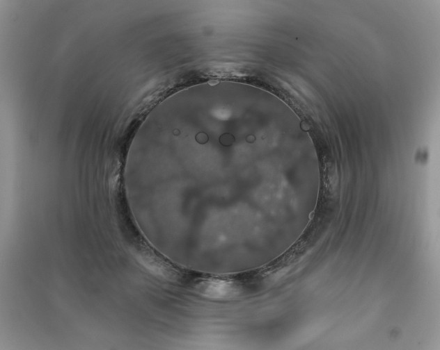 X0000091210507200708091350