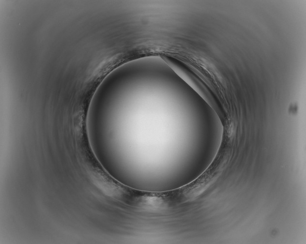 X0000091210509200708091350