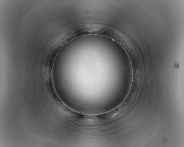 X0000091210510200708091350