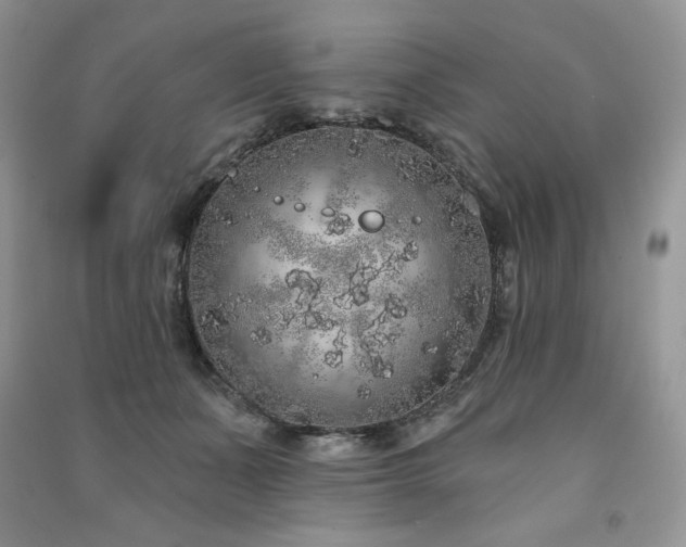 X0000091210511200708091350