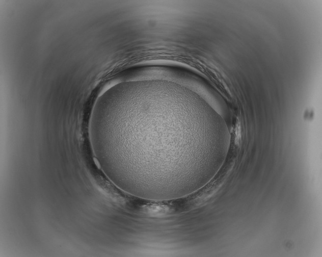 X0000091210512200708091350