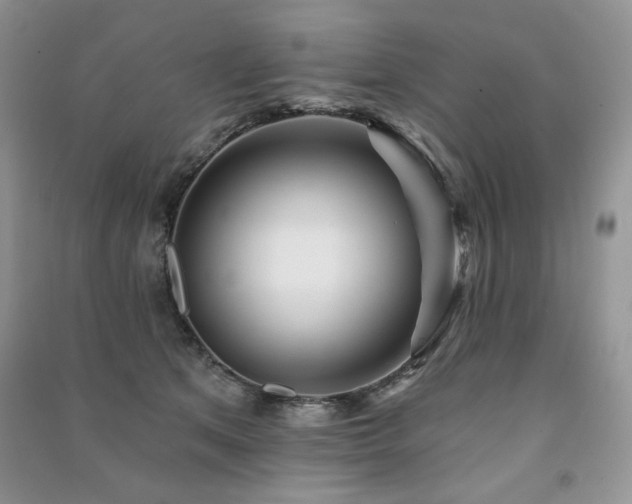 X0000091210513200708091350