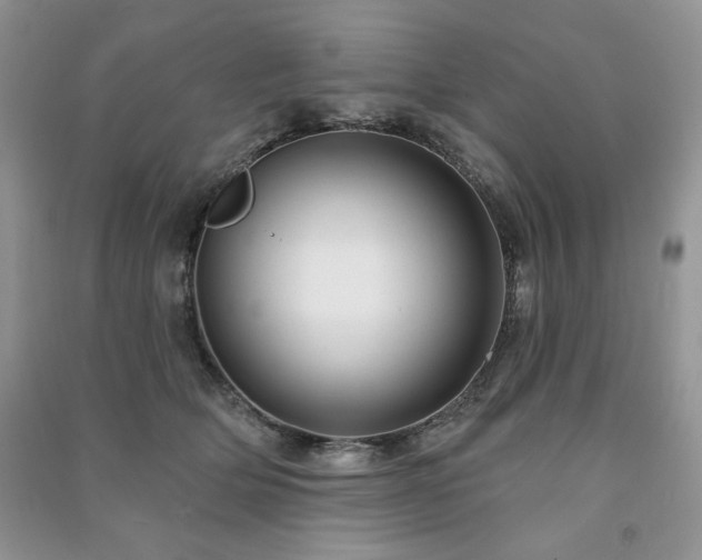 X0000091210514200708091350
