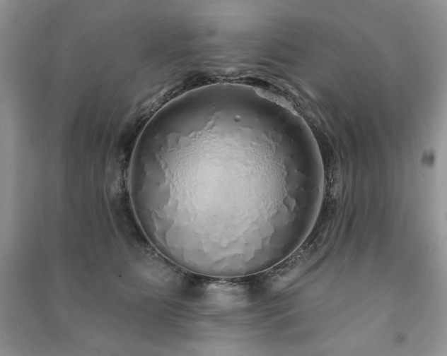 X0000091210515200708091350