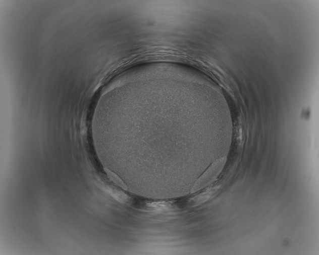 X0000091210516200708091350