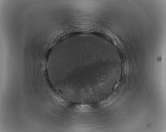 X0000091210517200708091350
