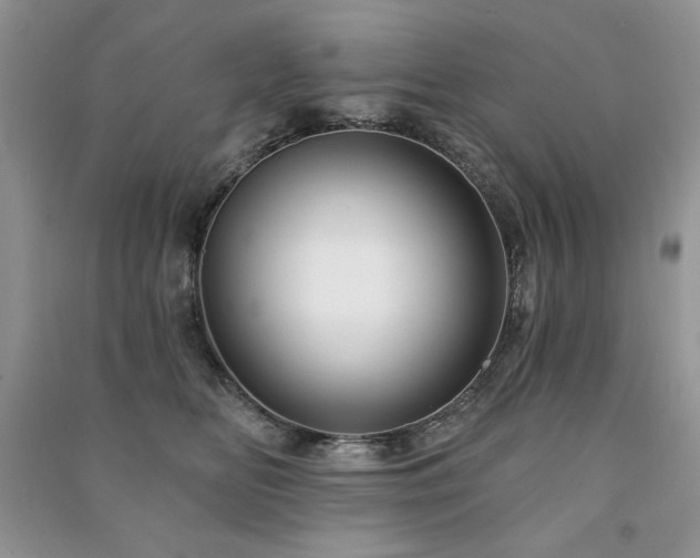 X0000091210518200708091350