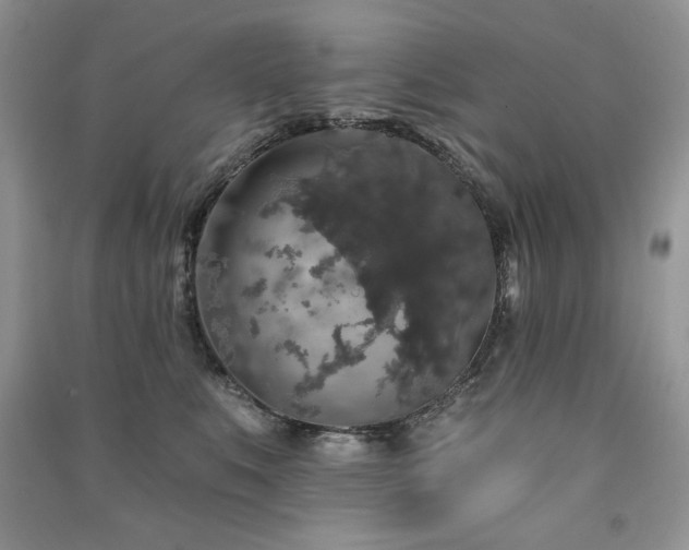 X0000091210519200708091350