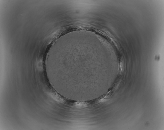 X0000091210520200708091350