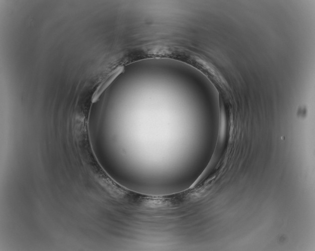 X0000091210521200708091350