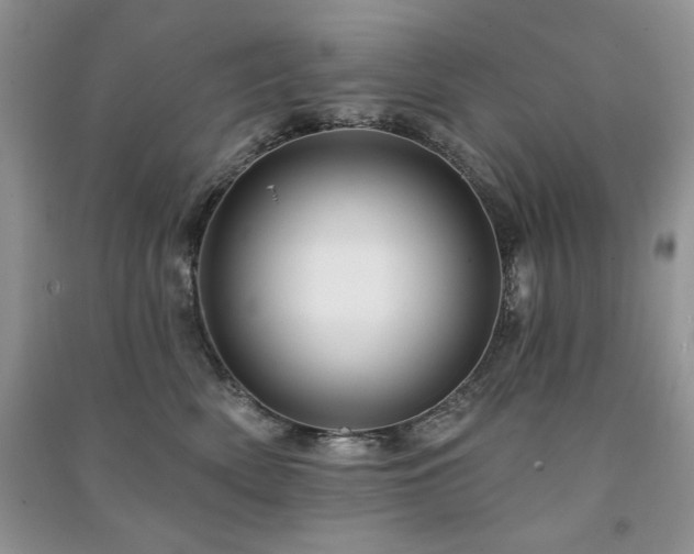 X0000091210522200708091350