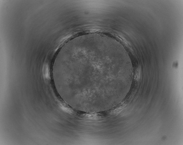X0000091210524200708091350