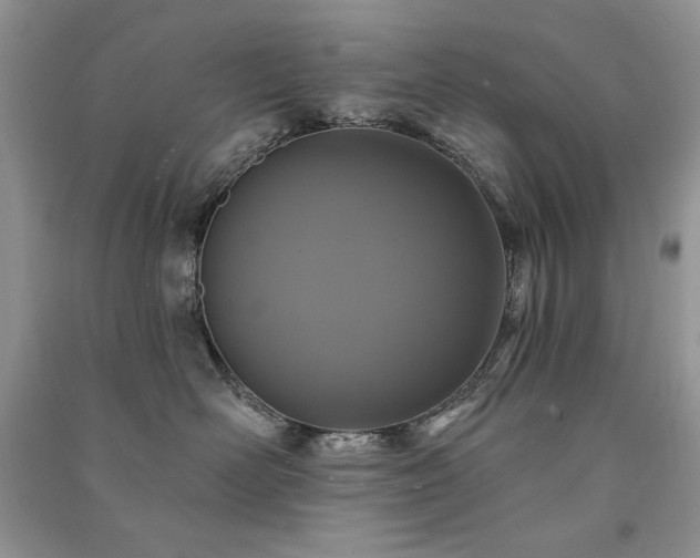 X0000091210526200708091350