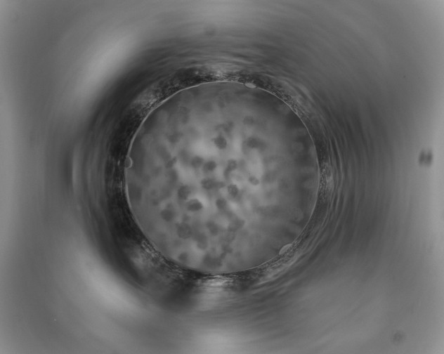 X0000091210527200708091350