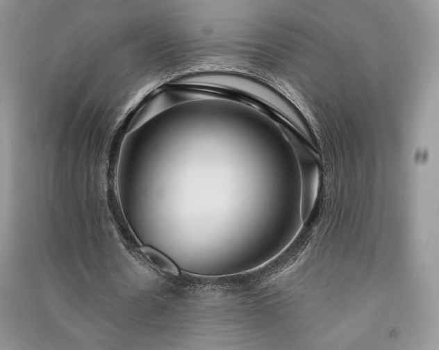 X0000091210530200708091349