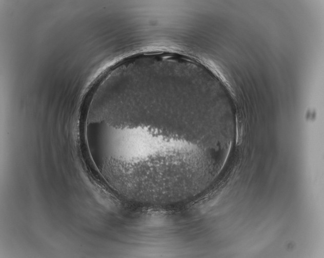 X0000091210531200708091349