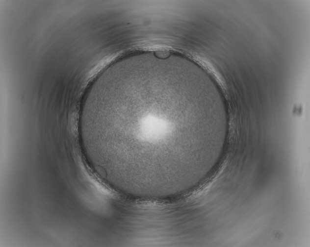 X0000091210533200708091349