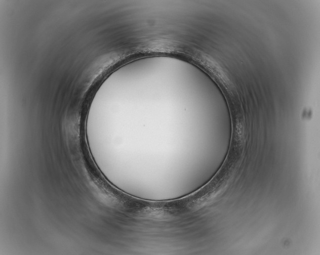 X0000091210534200708091349