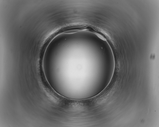 X0000091210535200708091349