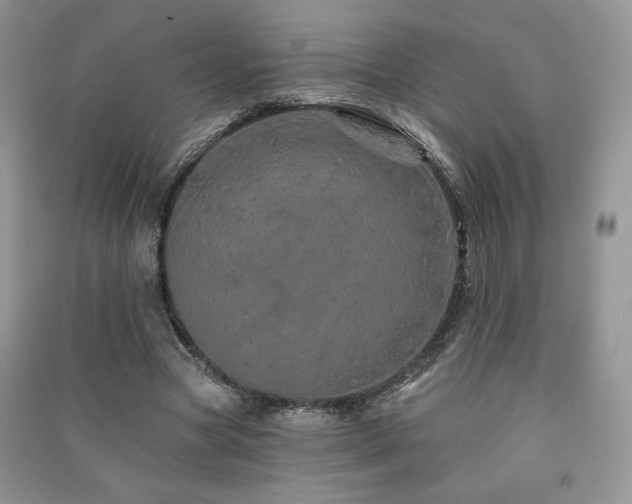X0000091210537200708091349