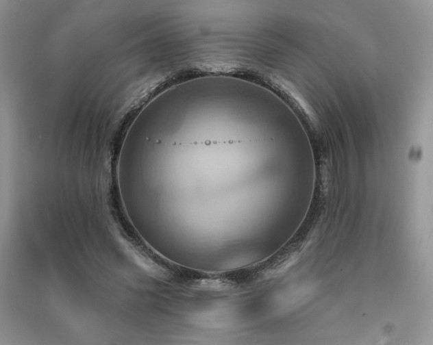 X0000091210541200708091349