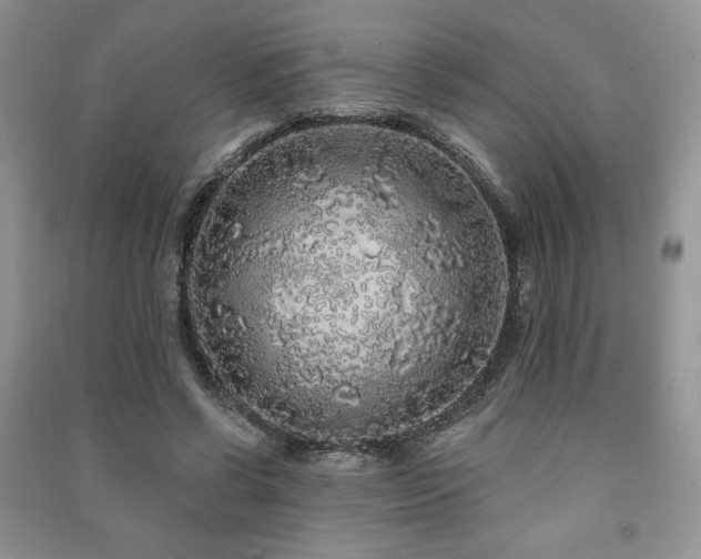 X0000091210542200708091349