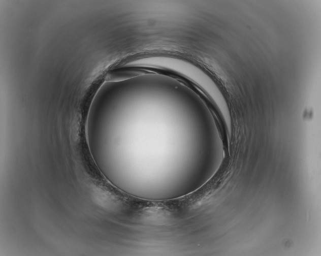 X0000091210544200708091349