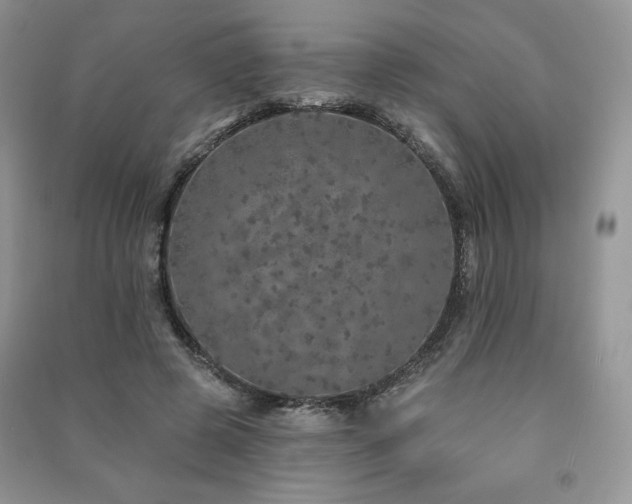 X0000091210545200708091349