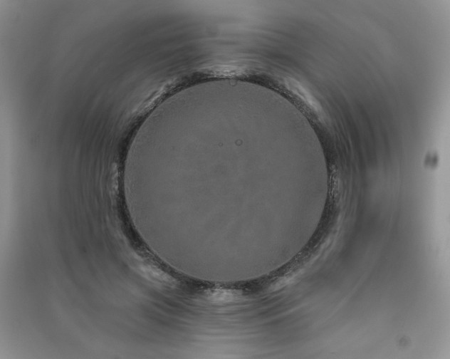 X0000091210549200708091349