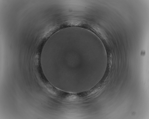 X0000091210551200708091349