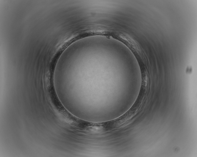 X0000091210552200708091349