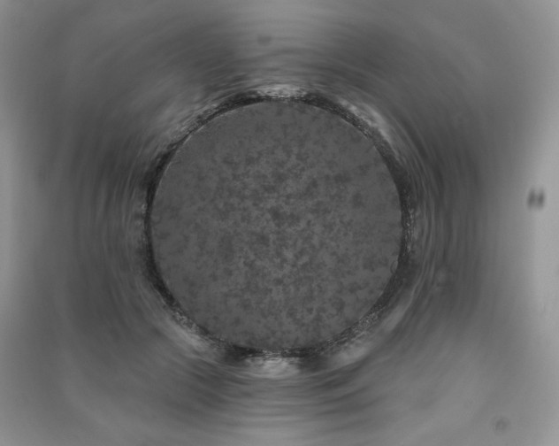 X0000091210553200708091349