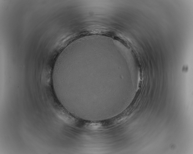 X0000091210554200708091349