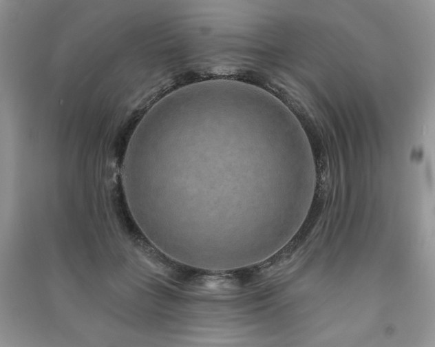 X0000091210555200708091349