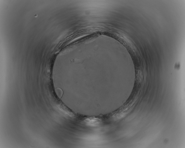 X0000091210557200708091349