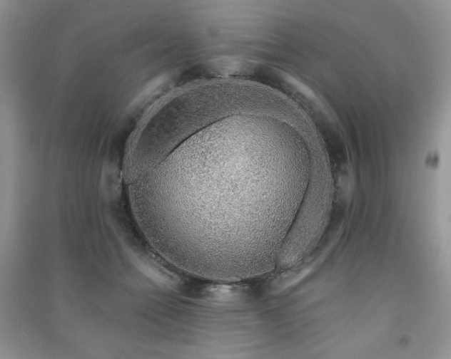 X0000091210558200708091349