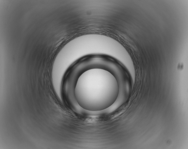 X0000091210560200708091349