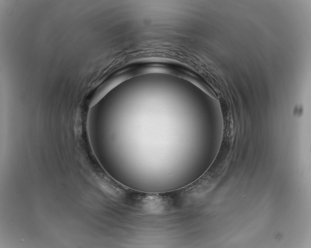 X0000091210562200708091349