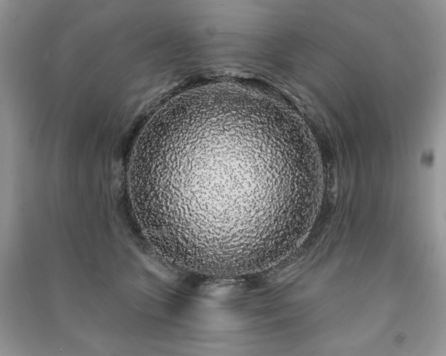 X0000091210563200708091349