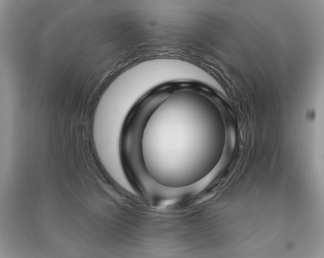 X0000091210564200708091349