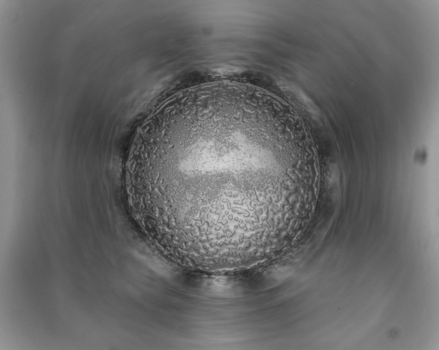 X0000091210565200708091349