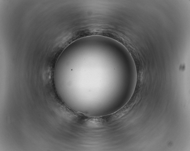X0000091210567200708091349